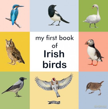 My First Book Of Irish Birds - O'brien Press [KSIĄŻKA]
