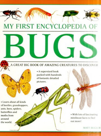 My First Encyclopedia Of Bugs [KSIĄŻKA]