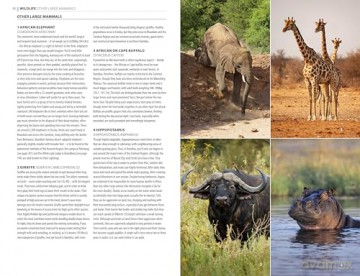 Namibia [KSIĄŻKA]
