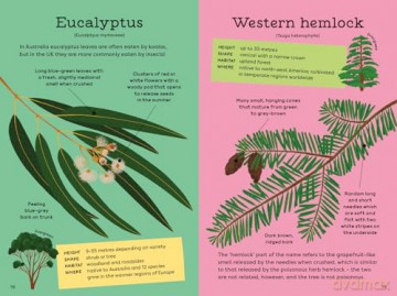 National Trust: Out and About: Tree Explorer: A children's guide to 60 different trees - Emma S Young [KSIĄŻKA]