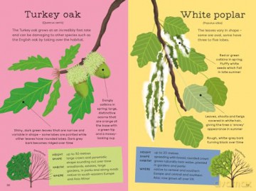 National Trust: Out and About: Tree Explorer: A children's guide to 60 different trees - Emma S Young [KSIĄŻKA]