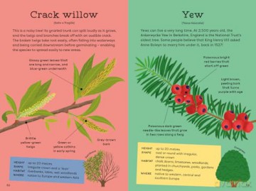 National Trust: Out and About: Tree Explorer: A children's guide to 60 different trees - Emma S Young [KSIĄŻKA]