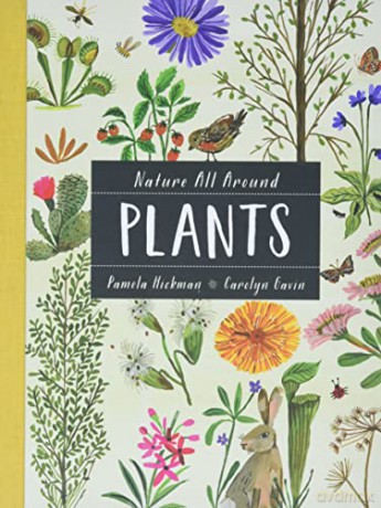 Nature All Around Plants - Pamela Hickman [KSIĄŻKA]