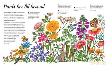 Nature All Around Plants - Pamela Hickman [KSIĄŻKA]