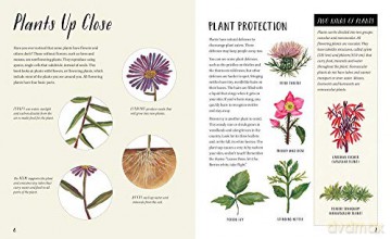 Nature All Around Plants - Pamela Hickman [KSIĄŻKA]