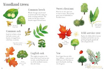 Nature Spotting Guide - Sam Smith [KSIĄŻKA]