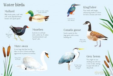 Nature Spotting Guide - Sam Smith [KSIĄŻKA]