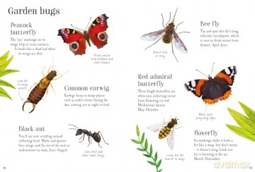 Nature Spotting Guide - Sam Smith [KSIĄŻKA]