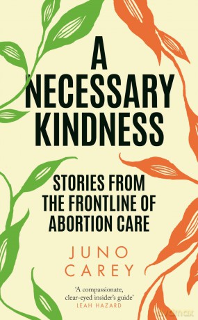 Necessary Kindness - Juno Carey [KSIĄŻKA]