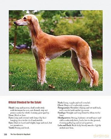 New Complete Dog Book - American Kennel Club [KSIĄŻKA]