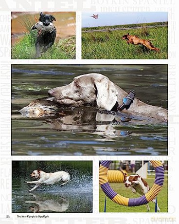 New Complete Dog Book - American Kennel Club [KSIĄŻKA]