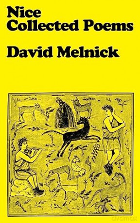 Nice Collected Poems - David Melnick [KSIĄŻKA]