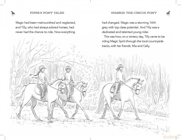 Nimrod The Circus Pony - Pippa Funnell [KSIĄŻKA]
