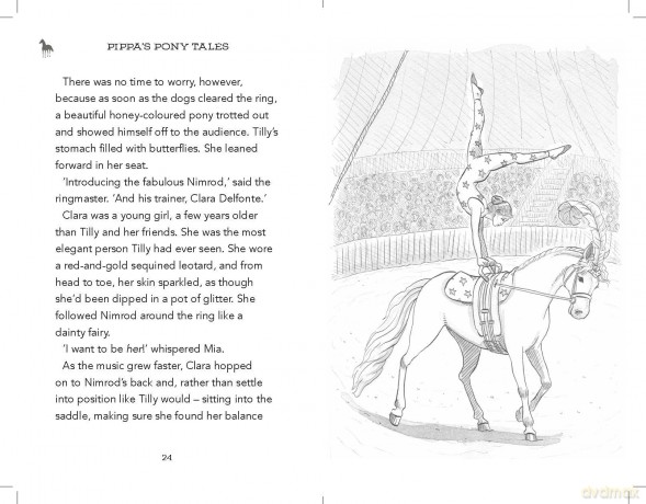 Nimrod The Circus Pony - Pippa Funnell [KSIĄŻKA]