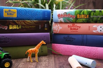 NIrV Adventure Bible for Early Readers, Hardcover, Full Color Interior, Lion - Lawrence O Richards [KSIĄŻKA]