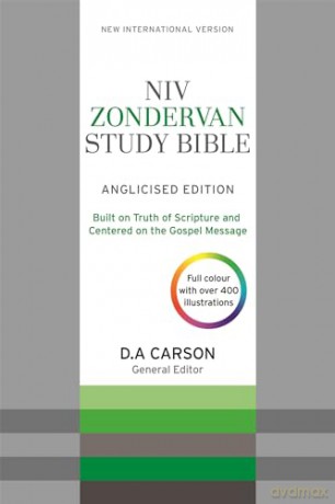 Niv Zondervan Study Bible Uk Soft-Tone - International Versi [KSIĄŻKA]