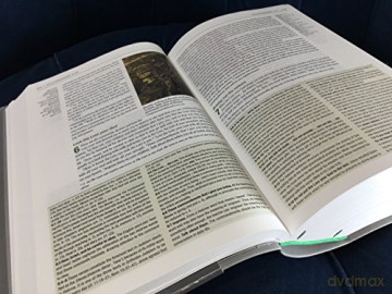 Niv Zondervan Study Bible Uk Soft-Tone - International Versi [KSIĄŻKA]