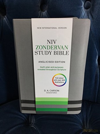Niv Zondervan Study Bible Uk Soft-Tone - International Versi [KSIĄŻKA]