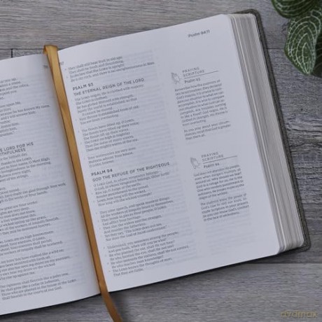 Nkjv The Prayer Bible Leathersoft Brown [KSIĄŻKA]