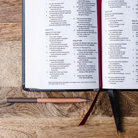 NKJV, End-of-Verse Reference Bible, Compact, Leathersoft, Black, Red Letter, Comfort Print: Holy Bible, New King James Version [KSIĄŻKA]