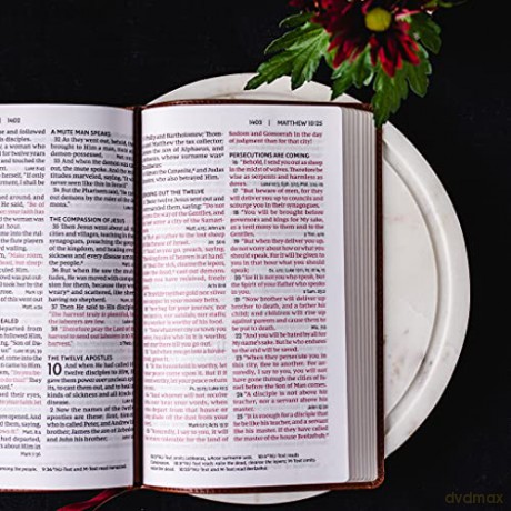NKJV, End-of-Verse Reference Bible, Personal Size Large Print, Leathersoft, Green, Red Letter, Thumb Indexed, Comfort Print: Holy Bible, New King James Version [KSIĄŻKA]