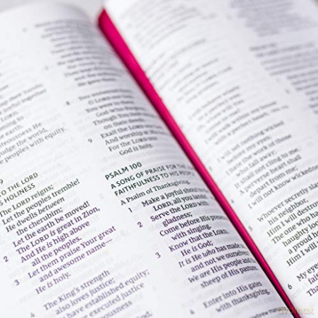 NKJV, End-of-Verse Reference Bible, Personal Size Large Print, Leathersoft, Green, Red Letter, Thumb Indexed, Comfort Print: Holy Bible, New King James Version [KSIĄŻKA]