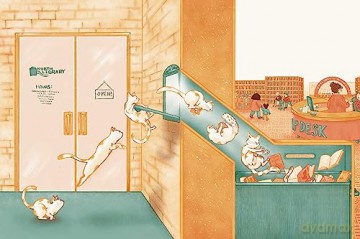 No Cats In The Library - Lauren Emmons [KSIĄŻKA]