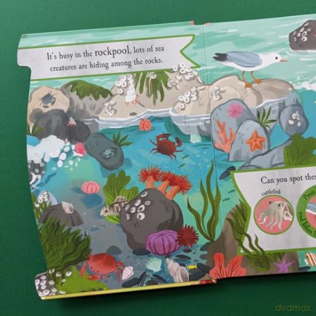 Noisy Ocean 6 Button Sound Book - Laura Garner [KSIĄŻKA]