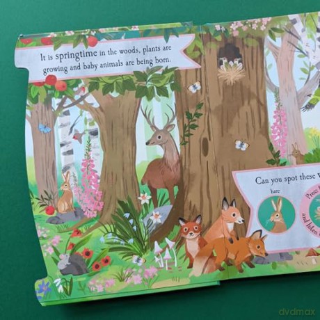 Noisy Woods 6 Button Sound Book - Laura Garner [KSIĄŻKA]