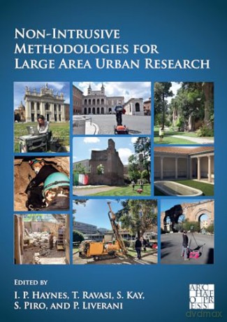 Non-Intrusive Methodologies for Large Area Urban Research - Ian Haynes [KSIĄŻKA]
