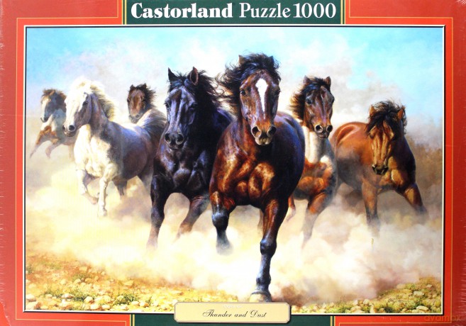 Castor 1000 El. Kopia: Thunder And Dust [PUZZLE]