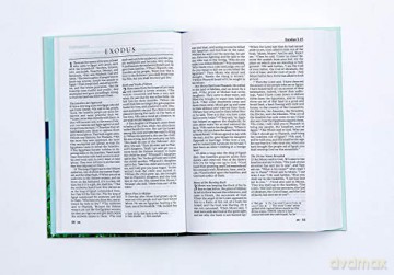 Nrsv Catholic Edition [KSIĄŻKA]