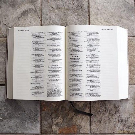 Nrsvue Holy Bible With Ap Hb [KSIĄŻKA]