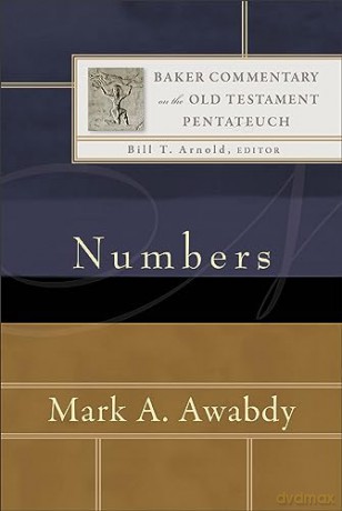 Numbers - Mark A. Awabdy [KSIĄŻKA]