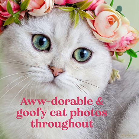 Oh Its You Love Poems By Cats - F Marciuliano [KSIĄŻKA]