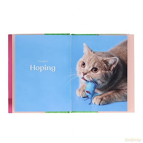 Oh Its You Love Poems By Cats - F Marciuliano [KSIĄŻKA]