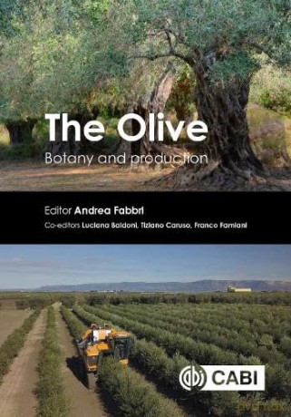 Olive The - Andrea Fabbri [KSIĄŻKA]