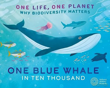 One Life One Planet One Blue Whale In - Sarah Ridley [KSIĄŻKA]