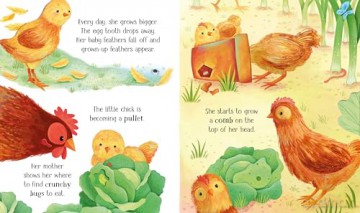 One Little Chick - Lesley Sims [KSIĄŻKA]