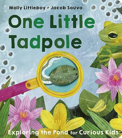 One Little Tadpole - Molly Littleboy [KSIĄŻKA]