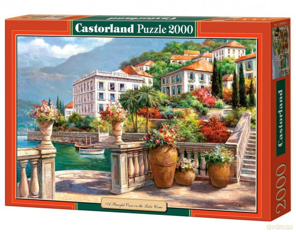 Castor 2000 Copy: Oaza Spokoju Nad 200450 [PUZZLE]