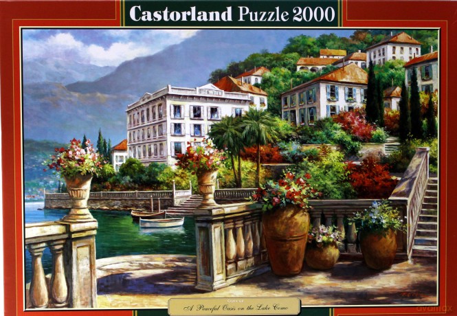 Castor 2000 Copy: Oaza Spokoju Nad 200450 [PUZZLE]