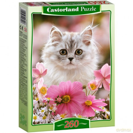 Castor 260 El. Kotek Made Of Fur [PUZZLE]