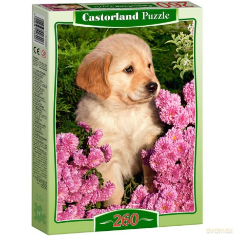 Castor 260 El. Mały Retriever [PUZZLE]