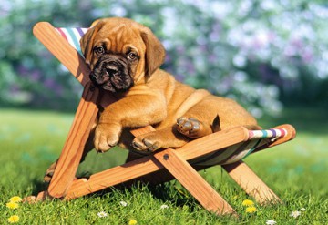 Castor 260 El. Pupilek Na Leżaku [PUZZLE]