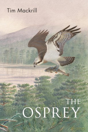Osprey - Tim Mackrill [KSIĄŻKA]
