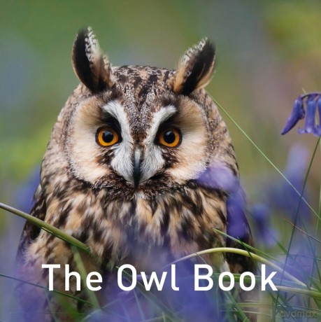 Owl Book - Jane Russ [KSIĄŻKA]