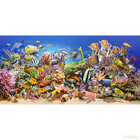 Castor 4000 El. Podwodne Życie [PUZZLE]