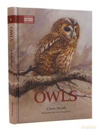 Owls - Chris Mead [KSIĄŻKA]