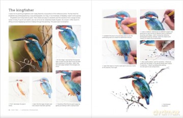 Painting Birds - Sarah Stokes [KSIĄŻKA]
